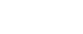 Tshims Group International Logo